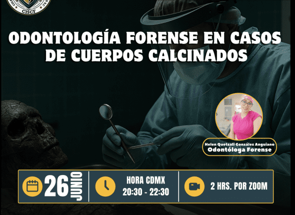 Captura de pantalla 2025-06-27 a las 12.54.42 a. m.